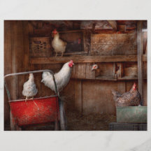 Animal - Chicken - The duck is a spy Flyers