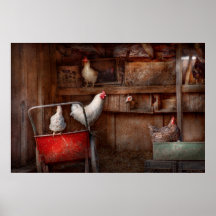 Animal - Chicken - The duck is a spy Poster