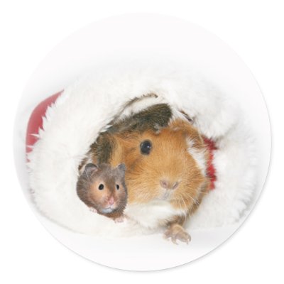 Animal Christmas sticker by deemac1