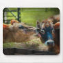Animal - Cow - Let mommy clean that Mouse Pads