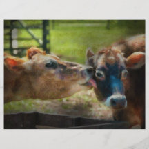 Animal - Cow - Let mummy clean that Flyer