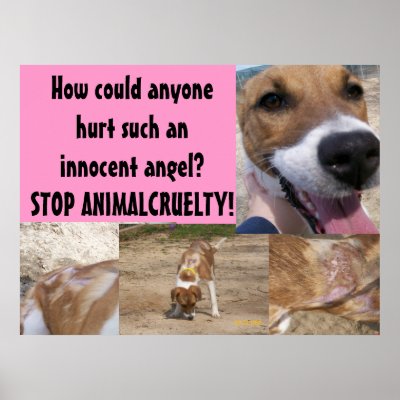 Animal Cruelty Poster by sunsett76