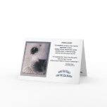 "ANIMAL DECREE" Cards