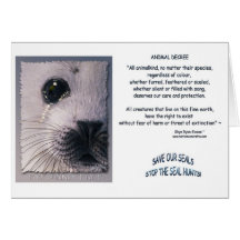 "ANIMAL DECREE" Cards
