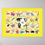 Animal domain on a large picture poster