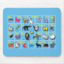 Animal Domain on my ABC mousepads
