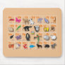 Animal domain on my ABC Mouse Mat