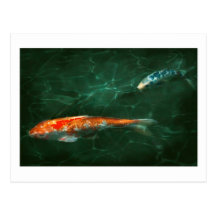 Animal - Fish - Koi - Another fish story Postcards