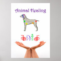 Animal Healing Posters