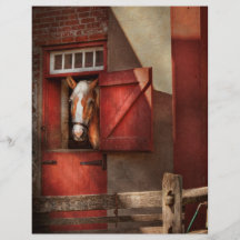 Animal - Horse - Calvins house Flyer Design