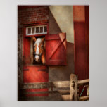 Animal - Horse - Calvins house Poster