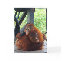 Animal Hugs are Important Card