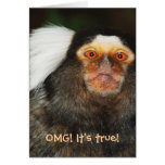 Animal humour funny birthday - 40 / 50 / 60