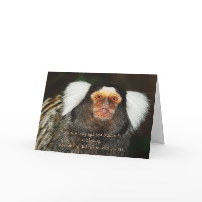 Animal humour funny birthday by Rowood