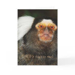 Animal humour funny birthday