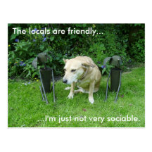 Animal Humour Postcards
