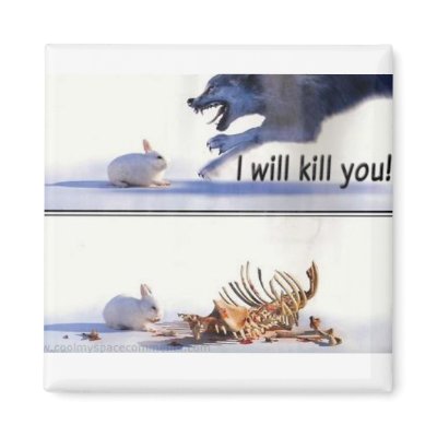 animal irony magnets by pabgomz005