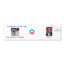 ANIMAL KINGDOM BUMPER STICKER