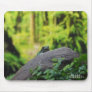 Animal Kingdom HD Mousepad - Frog