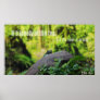 Animal Kingdom HD Poster - Frog