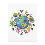 Animal Kingdom Postcards