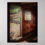 Animal - Lamb - Hello, anybody home Posters