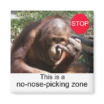 Animal Life Lessons #1