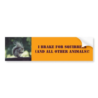 Animal Lover Bumper Sticker by happy2craft
