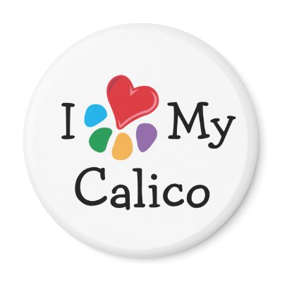 Animal Lover_I Heart My Calico by Artful_Animalz