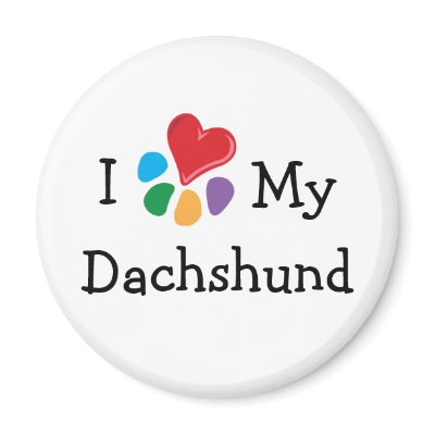 Animal Lover_I Heart My Dachshund by Artful_Animalz
