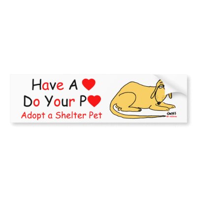 Animal Lover's Message Bumper Sticker by Swisstoons
