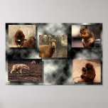 Animal Montage posters
