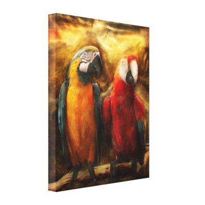 Animal - Parrot - Parrot-dise Stretched Canvas Prints by suburbanscenes