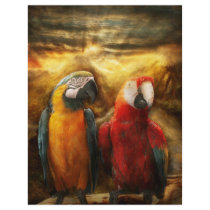 Animal - Parrot - Parrot-dise Full Colour Flyer