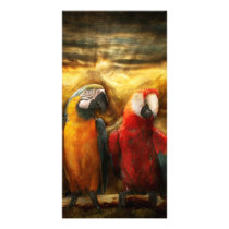 Animal - Parrot - Parrot-dise Personalized Photo Card
