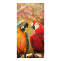 Animal - Parrot - We'll always have parrots Photo Card