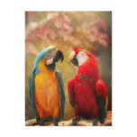 Animal - Parrot - We'll always have parrots Postcard