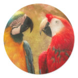 Animal - Parrot - We'll always have parrots Round Stickers
