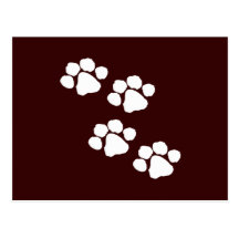 Animal Paw Prints Post Card