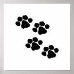 Animal Paw Prints