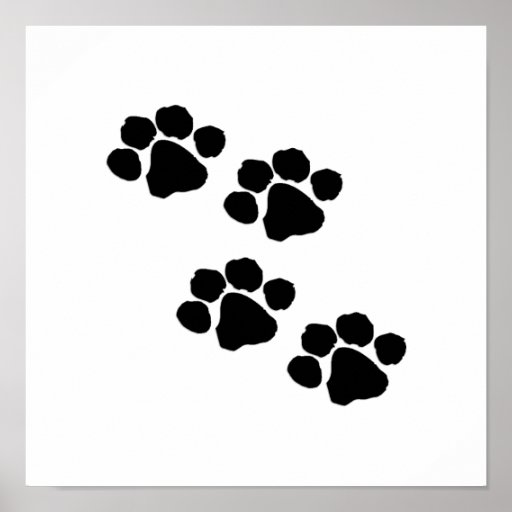 Wild+Animal+Paw+Prints ... wolf paw print clip art wild animal paw prints animal paw prints