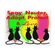 Animal & Pet Adoption Gifts Post Card