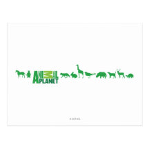 Animal Planet Animals Postcard