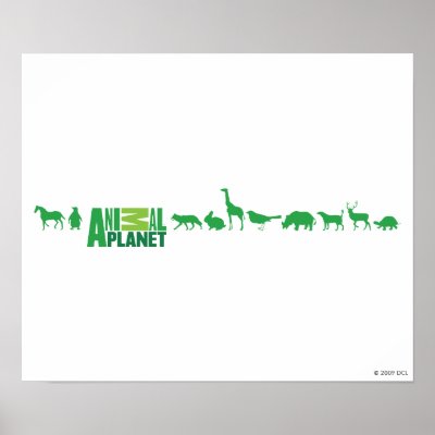 Animal Planet Animals Poster by AnimalPlanet