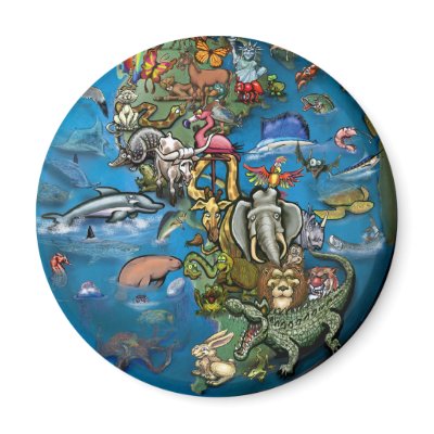 Animal Planet Magnet by FunGraphix