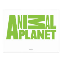 Animal Planet Postcard