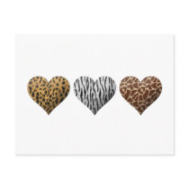 Animal Print Hearts Postcards