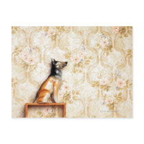 Animal representation,novelty item,shelf,knick post card