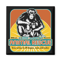 Animal Rescue Chimpanzee