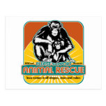 Animal Rescue Chimpanzee Post Card